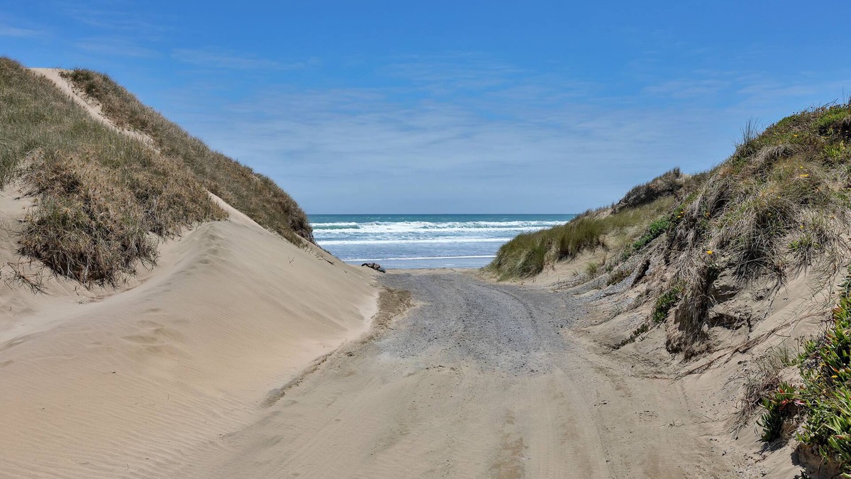 Northland House | Karo Hut B - Ninety Mile Beachfront Cabin