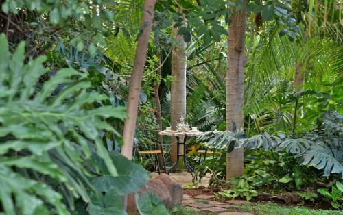 Kasane House | Kasane Self Catering