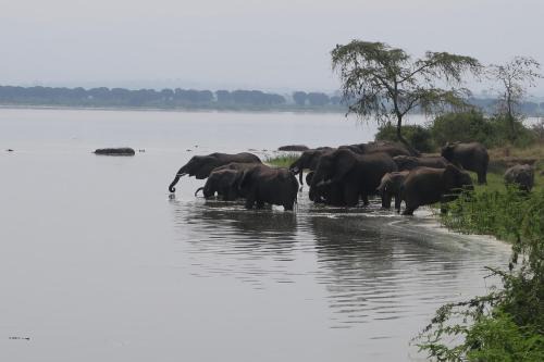 Kasese Cabin | Kasenyi Lake Retreat Lodges & Campsite