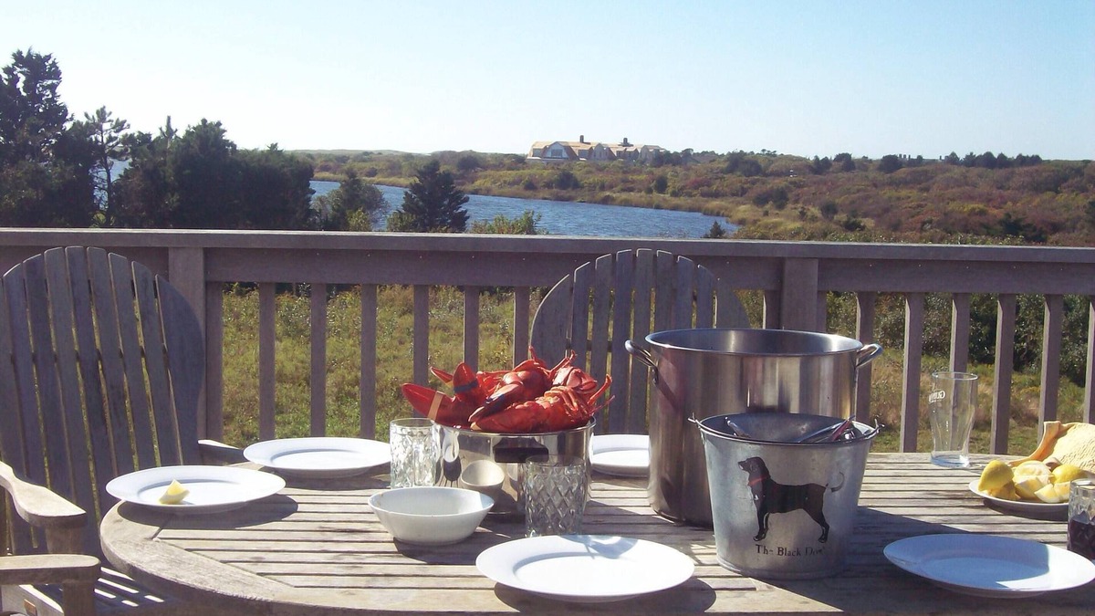 Katama House | Katama home with cove & ocean views. Surround yourself with nature and birdsong!