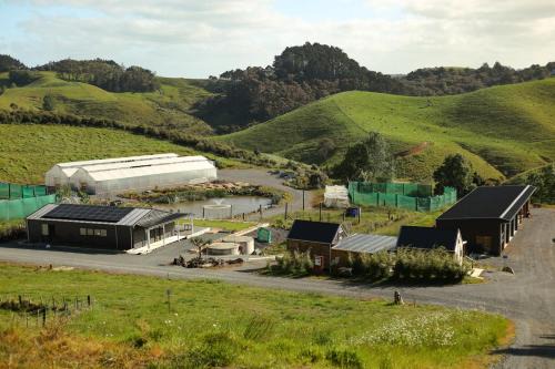 Mahurangi West Other | Kauri Ora Farmstay