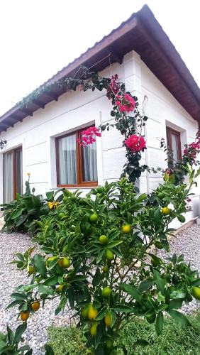 Karaburun Apartment | Kavurlukoz Butik Apart