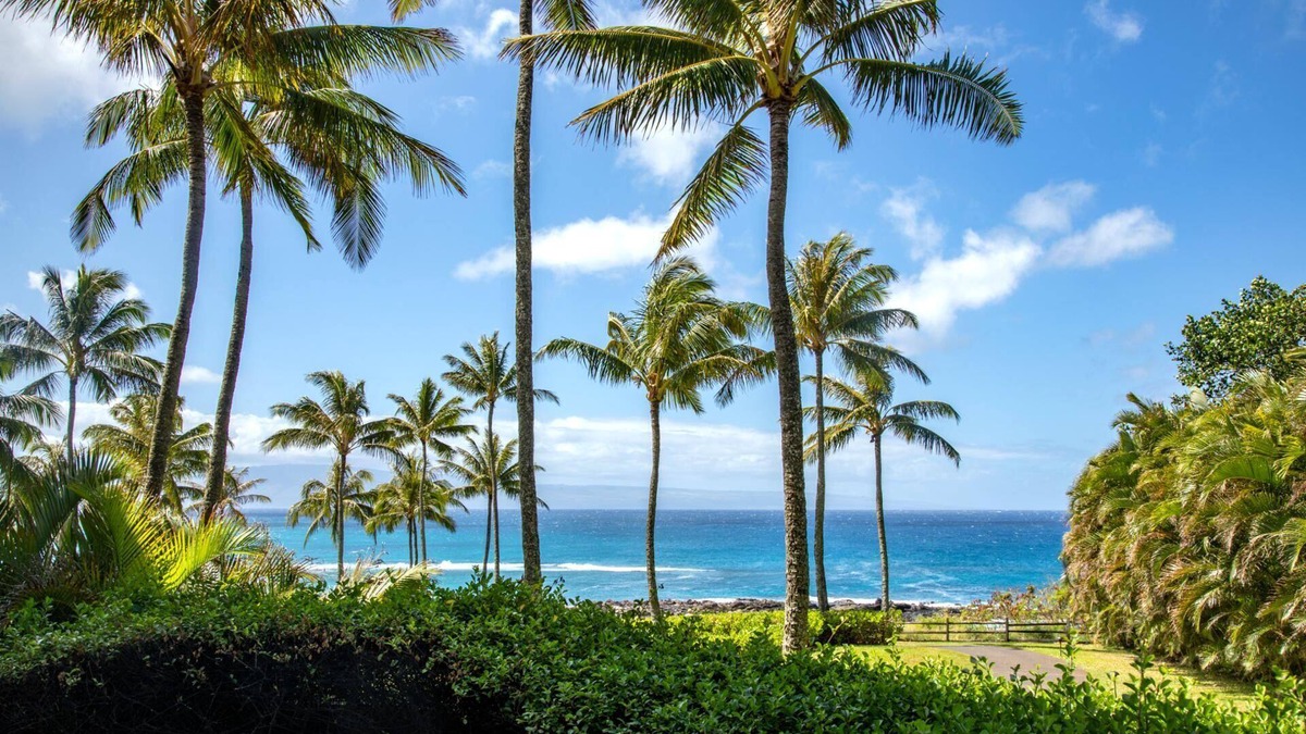 Montage Kapalua Bay Condo | KBM Resorts | FREE CAR | Oceanfront Hale Mala At Montage Kapalua Bay Luxury Retreat at Montage,3-Bedroom Condo with Daily Housekeeping, Spa!