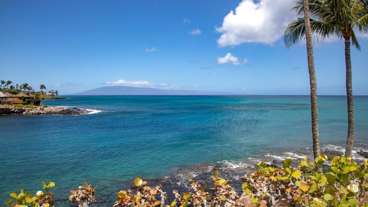 Napili Condo | KBM Resorts | Napili Point | Multi Unit Listing | Oceanfront 3-Bedroom Condo with Luxury Amenities and 2 Free Rental Cars! NAP-B13/C43