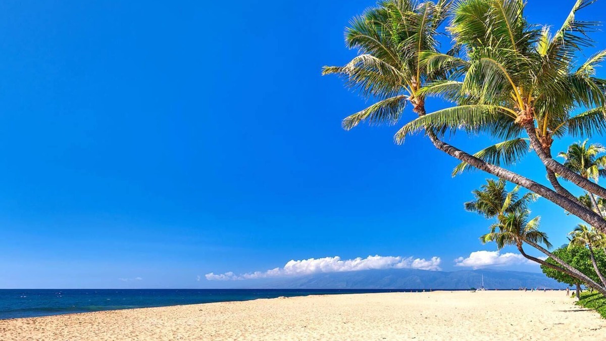 Honokowai Condo | KBM Resorts | Spacious 3-Bedroom Honua Kai Collection | Multi Unit Listing | Same Floor | Ocean Views + 2 Free Rental Cars! HKK-922/26