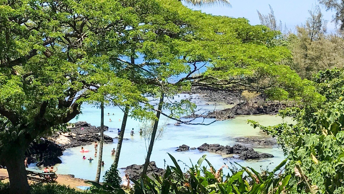 Hilo Condo | KeALOHA - INCREDIBLE views, Spectacular Beach Park, the Best snorkeling, Turtles