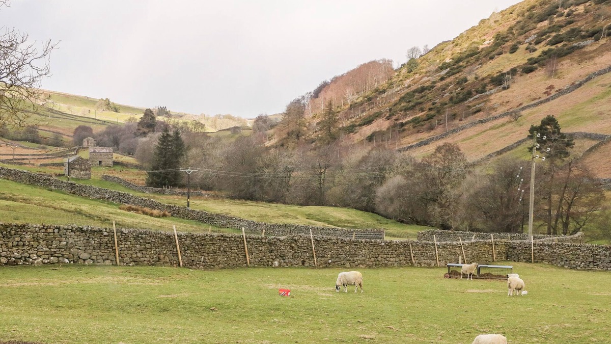 Worton Cottage | KEARTONS - BUTTERTUBS, pet friendly in Muker