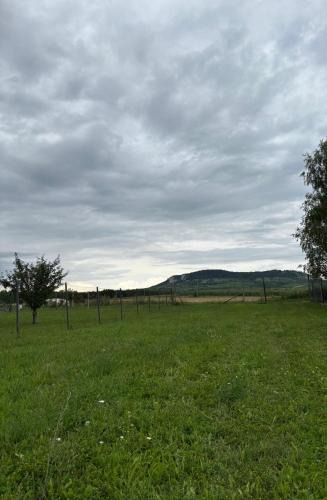 Dolni Dunajovice Other | Kemp Pod Pálavou