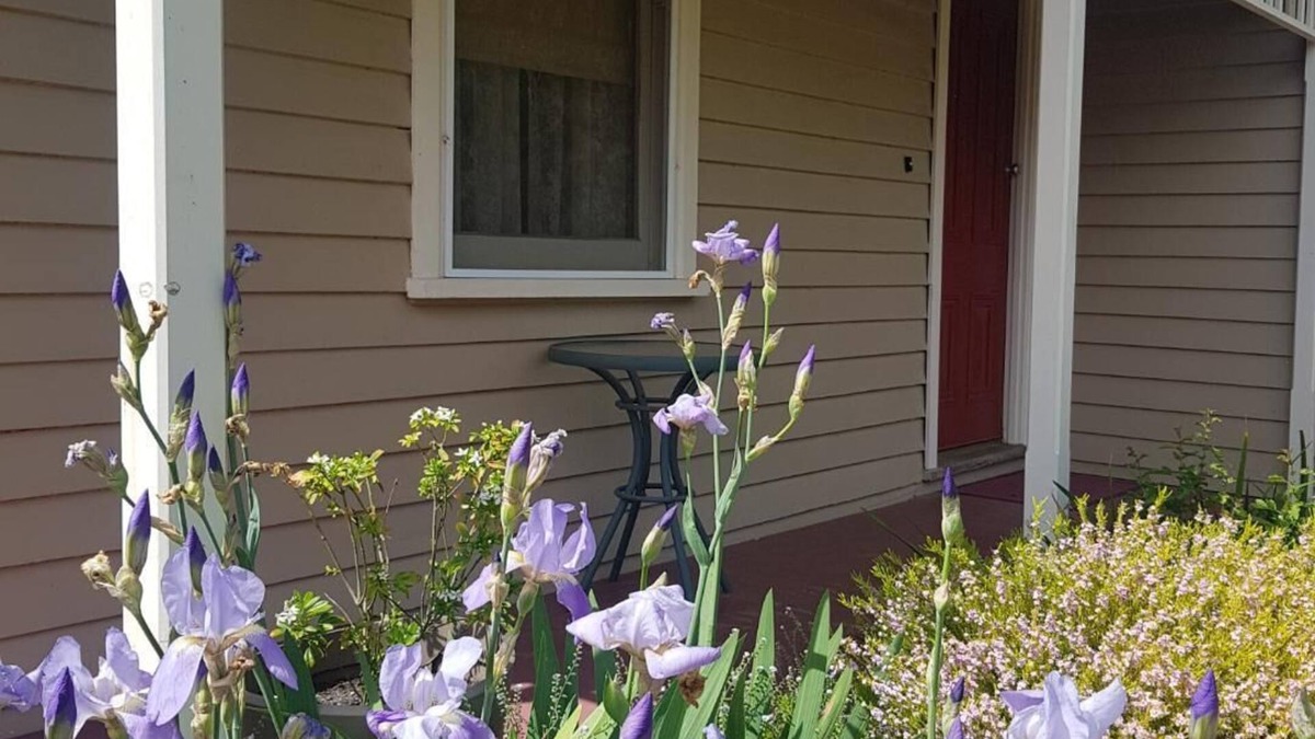 Kyneton House | Kenmaur Cottage - Luxury Cottage in an amazing location