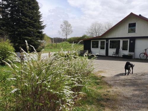 Vrinners House | Keramikhuset 2 komma 0, smuk natur og hjemlig hygge