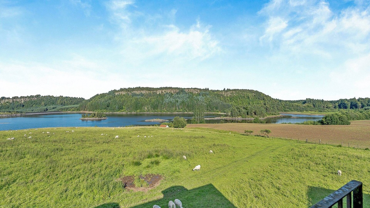 Fintry Cottage | Kestrel Cottage - 27937