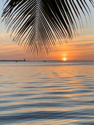 Key Largo House | Keys Paradise!