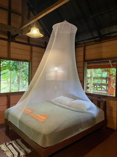 Khlong Sok Resort | Khao Sok Green Mountain View