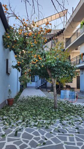 Gori House | KHORGO