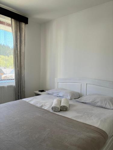 Borsec Apartment | Kiadó apartman