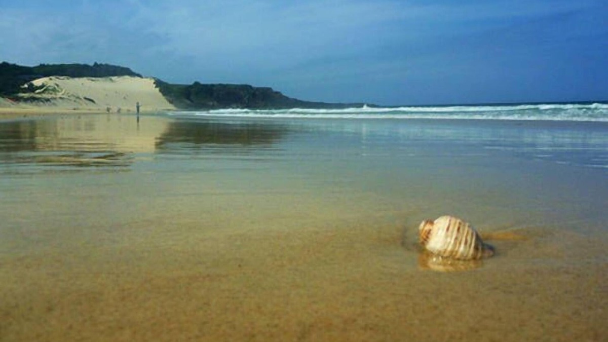 Forster House | KICKBACK BEACH SHACK @FORSTER - Walk to One Mile Beach !
