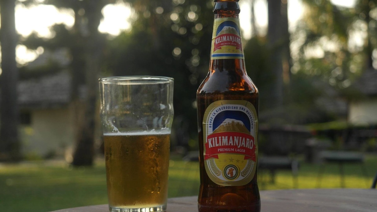 Moshi Cabin | Kilemakyaro Mountain Lodge