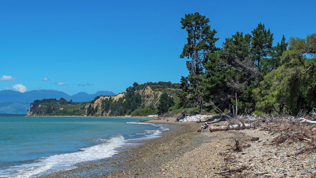 Tasman House | Kina Beach House Right By The Beach
