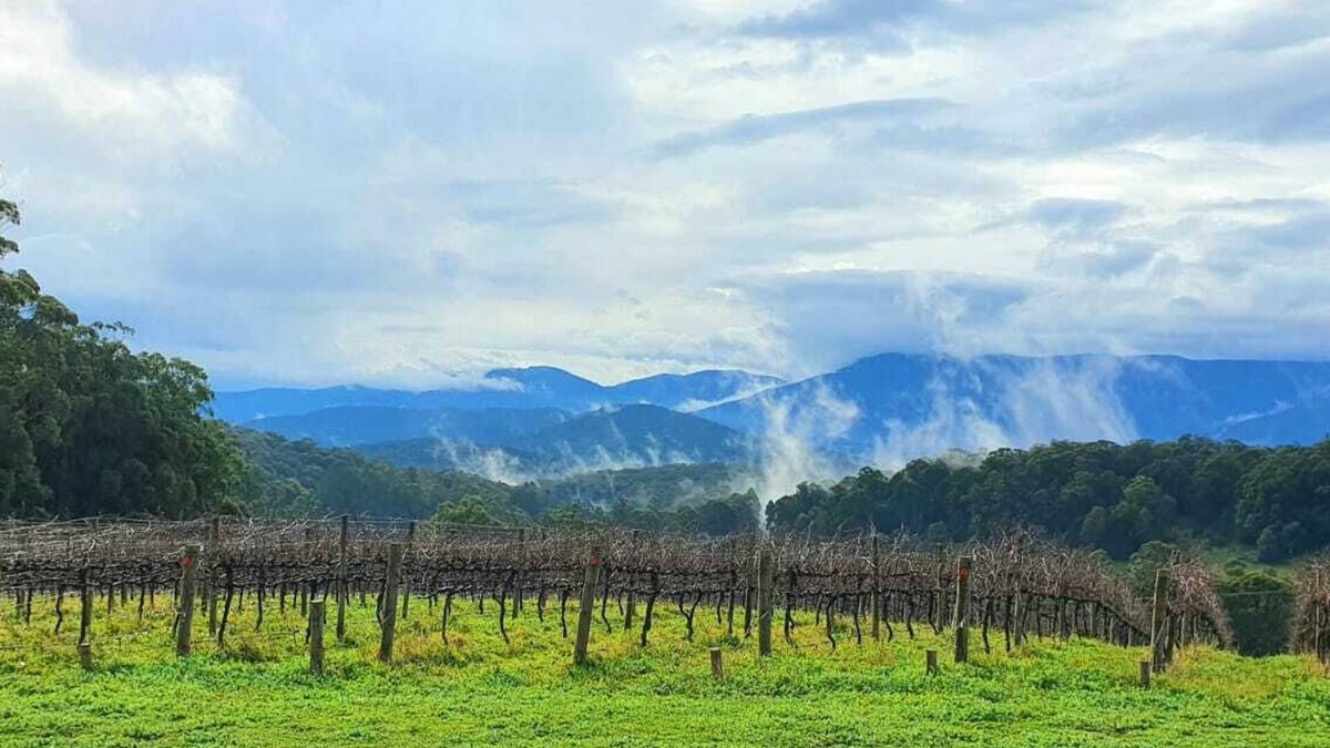 Gladysdale House | "KiNam Vinea" - A Farm Stay in the Yarra Valley