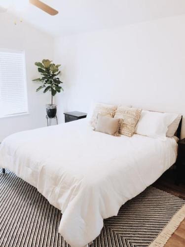 Stetson Hills Apartment | King Bed Suite with Pike Peak Views