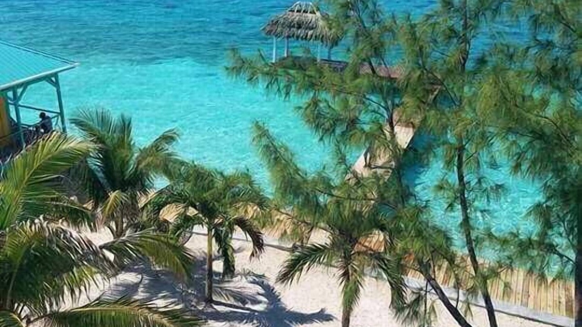 Placencia Hotel | King Lewey's Island Resort
