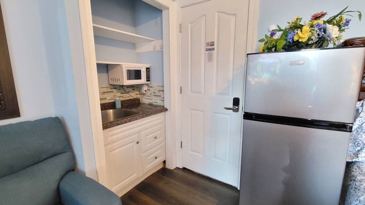 Hampton Apartment | King Sapphire Studio Suite, Kitchenette, 65" TV Private Bathroom Pets Welcome