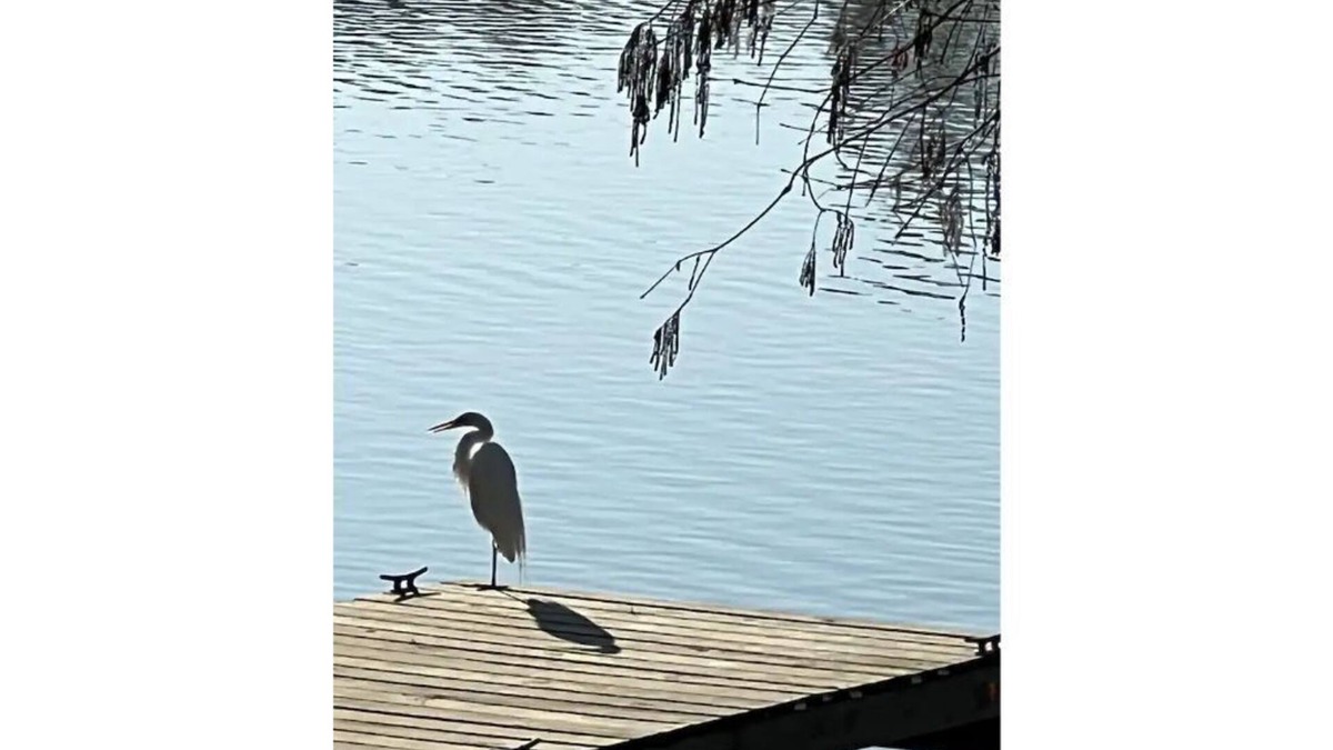 Kingwood Cottage | Kingwood Cove Cottage - 10 mins from IAH - Water Front