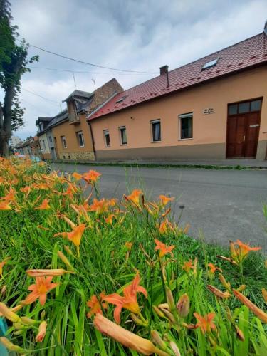 Salgotarjan House | Kis Rigó vendégház