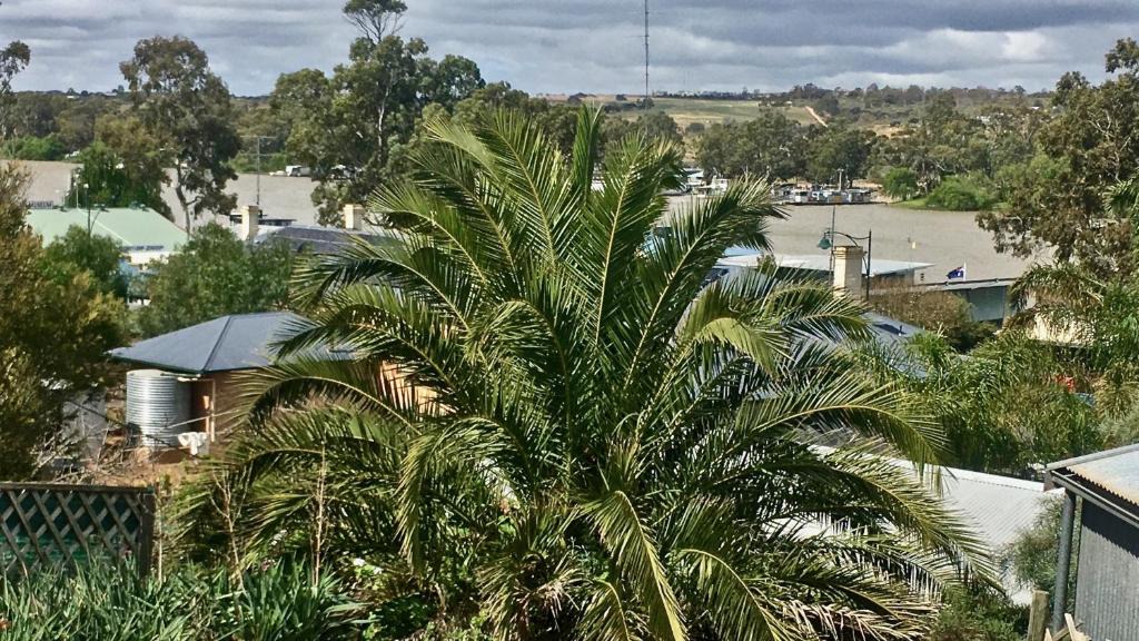 Mannum House | Kitty Spain's Cottage