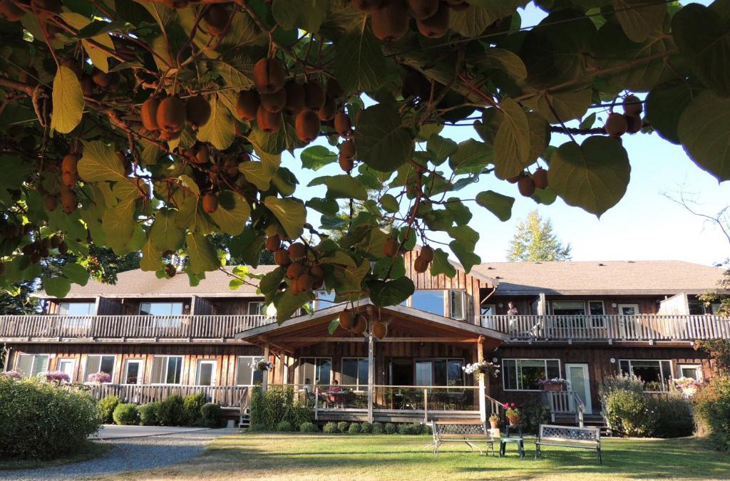 North Oyster Cabin | Kiwi Cove Lodge