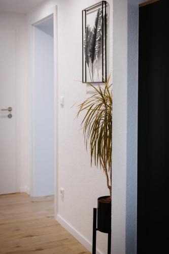 Geislingen Apartment | Kleine gemütliche Wohnung