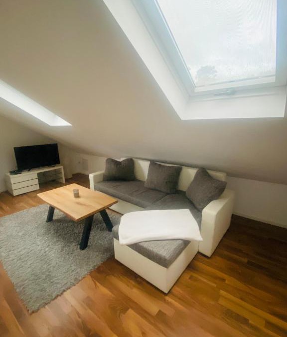 Speyer Apartment | Kleine Pfalz-Perle Birkenweg
