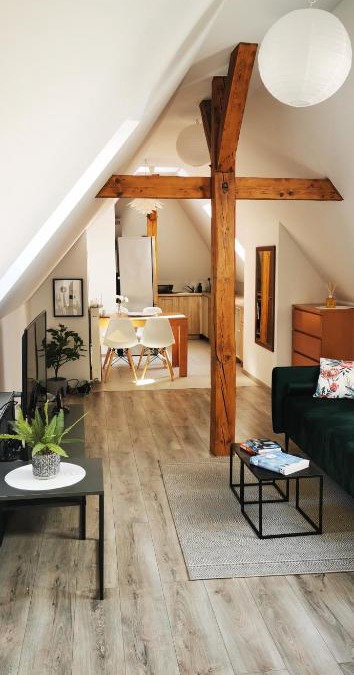 Bielawa Apartment | Klimatyczne apartamenty z widokiem na góry Sowie