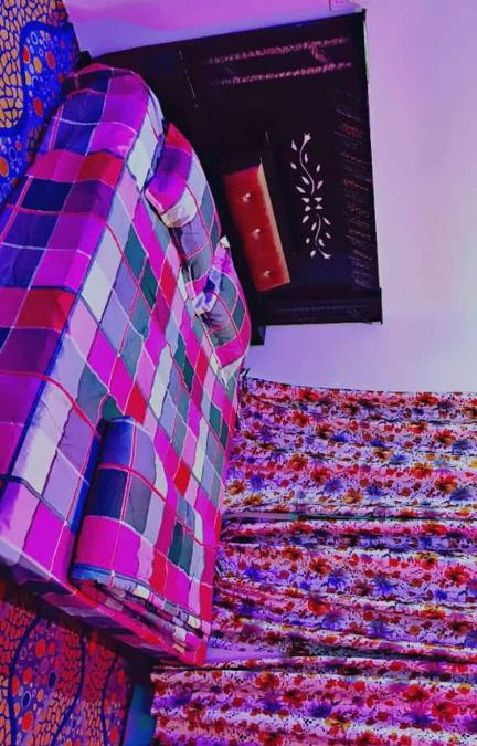 Kokernag House | knight view