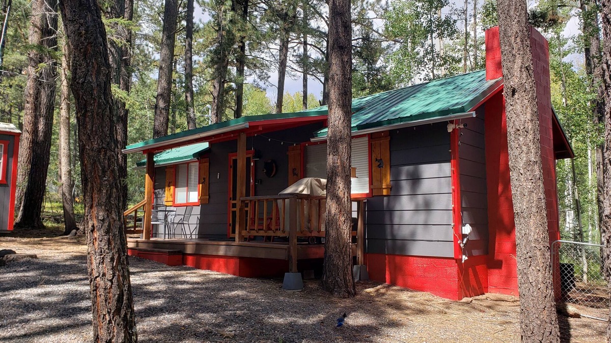 Greer Cabin | Knotty Bear Cabin in Greer