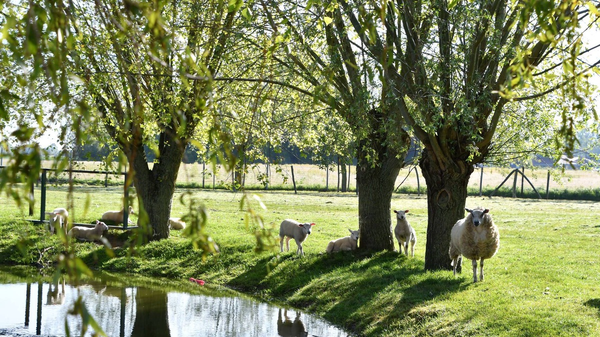 Stavele House | Knus Landelijk Verblijf!