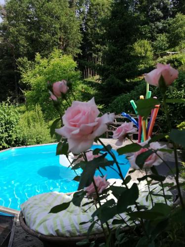 Glanz an der Weinstrasse Apartment | Kogelhuber