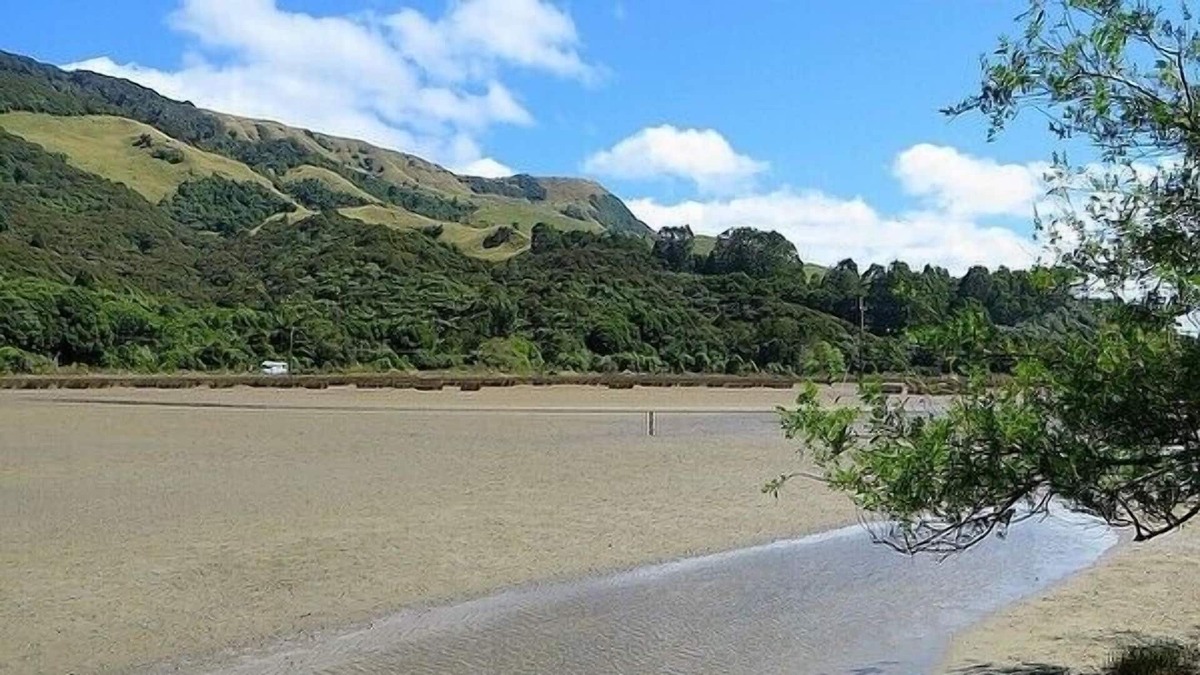Collingwood Cottage | Kokopu Cabin - Pakawau Beach Bach
