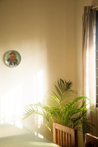 Pala Apartment | Kollamparampil Homestay