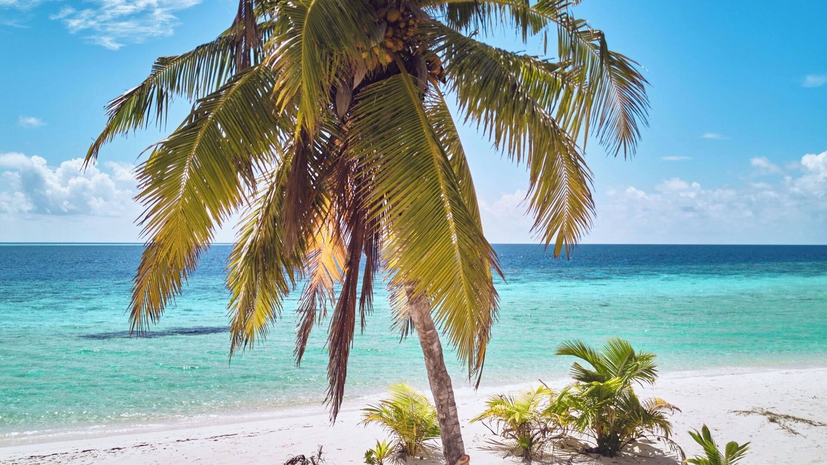 Gaafu Alifu Atoll Hotel | Kondey Villas