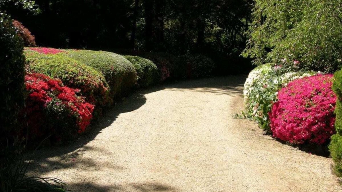 Mount Wilson House | Koonawarra | Mt Wilson | 24 acres of Established Heritage Botanical Gardens