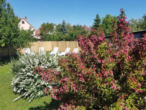 Matraderecske Apartment | Kovács Vendégház