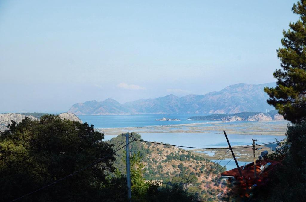 Dalyan House | Kozalak Evleri