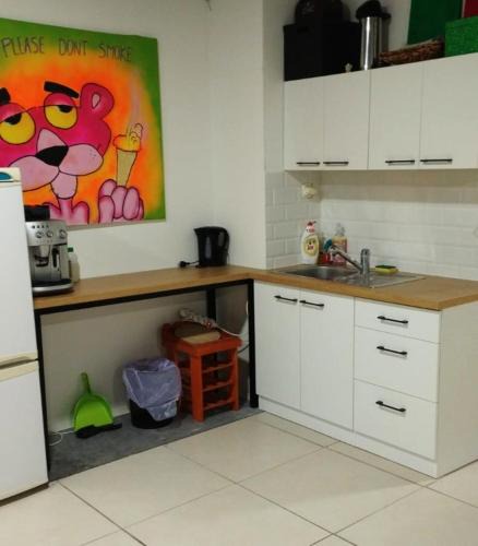Trencin Apartment | Krásny priestranný slnečný apartmán v centre mesta