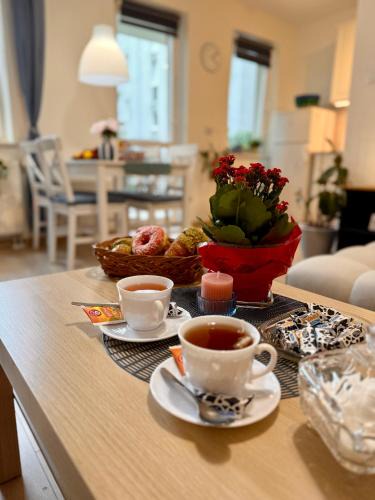 Pradnik Bialy Apartment | Kraków Nest