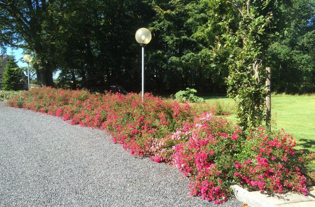 Herning Apartment | Kratgaardens Apartment
