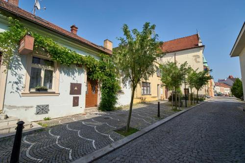 Melnik Apartment | Krejčovství