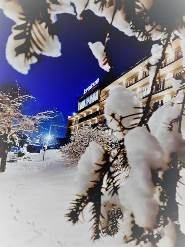 Wisla Hotel | Krokus