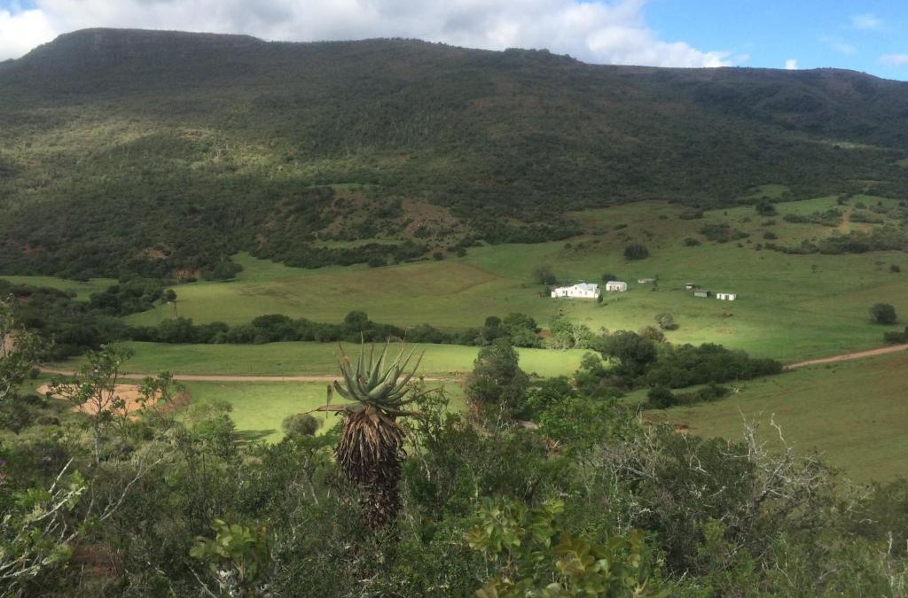 Addo Cabin | Kromrivier Farm Stays & B&B Near Addo Elephant Park