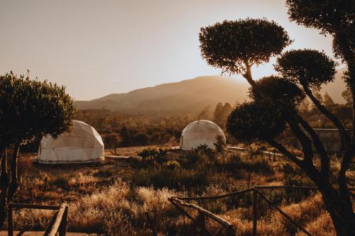 Ouirgane House | Ksar Shama - Atlas Mountain Escape